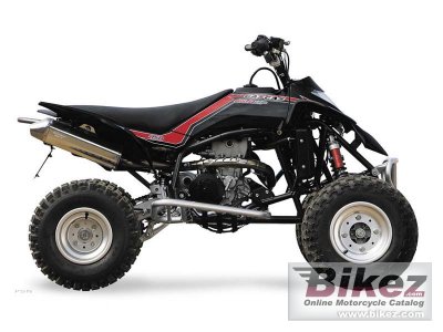 2010 GAS GAS Wild HP 450 photo